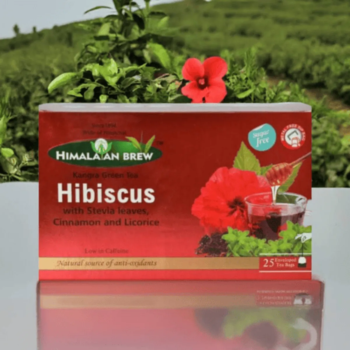 Hibiscus Green Tea