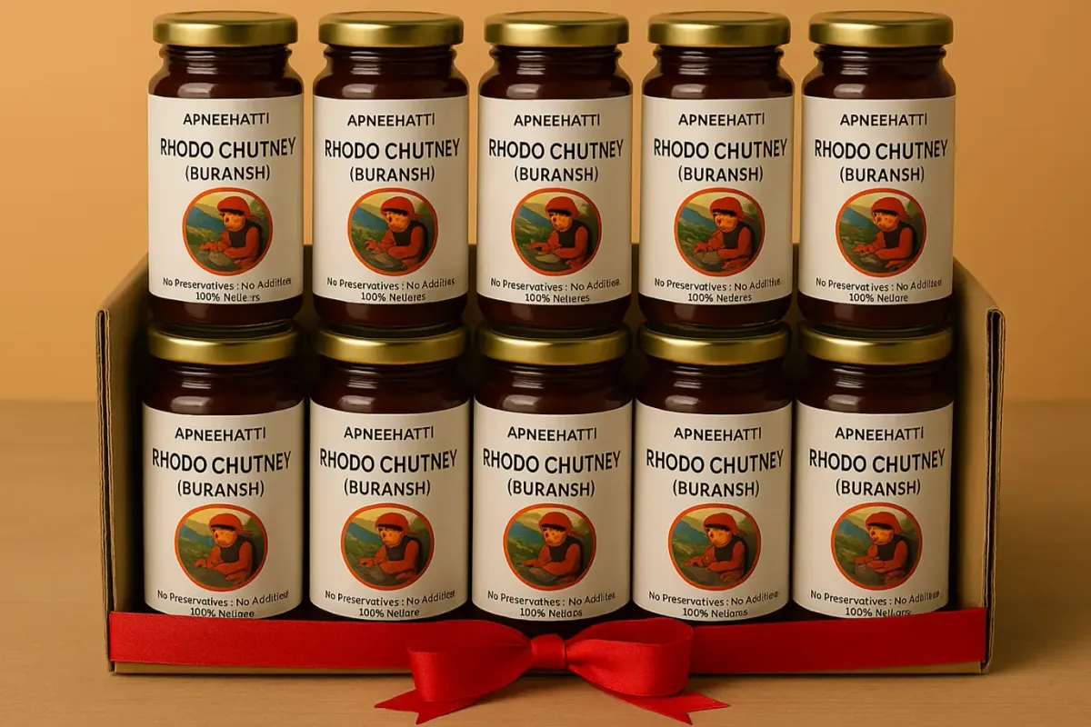  Himalayan Rhododendron Chutney combo pack of 10 jars 